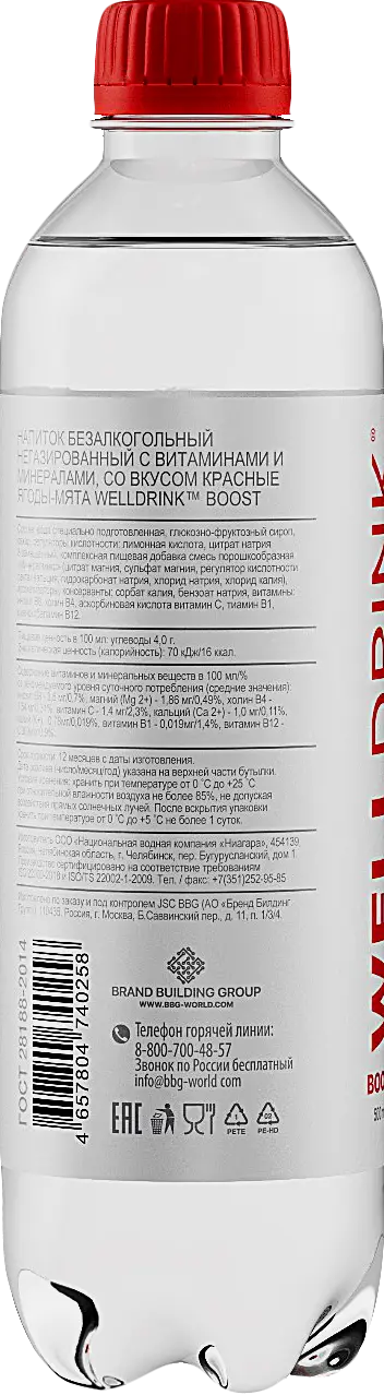 Напиток Welldrinк Boost со вкусом Красные ягоды-мята 500мл
