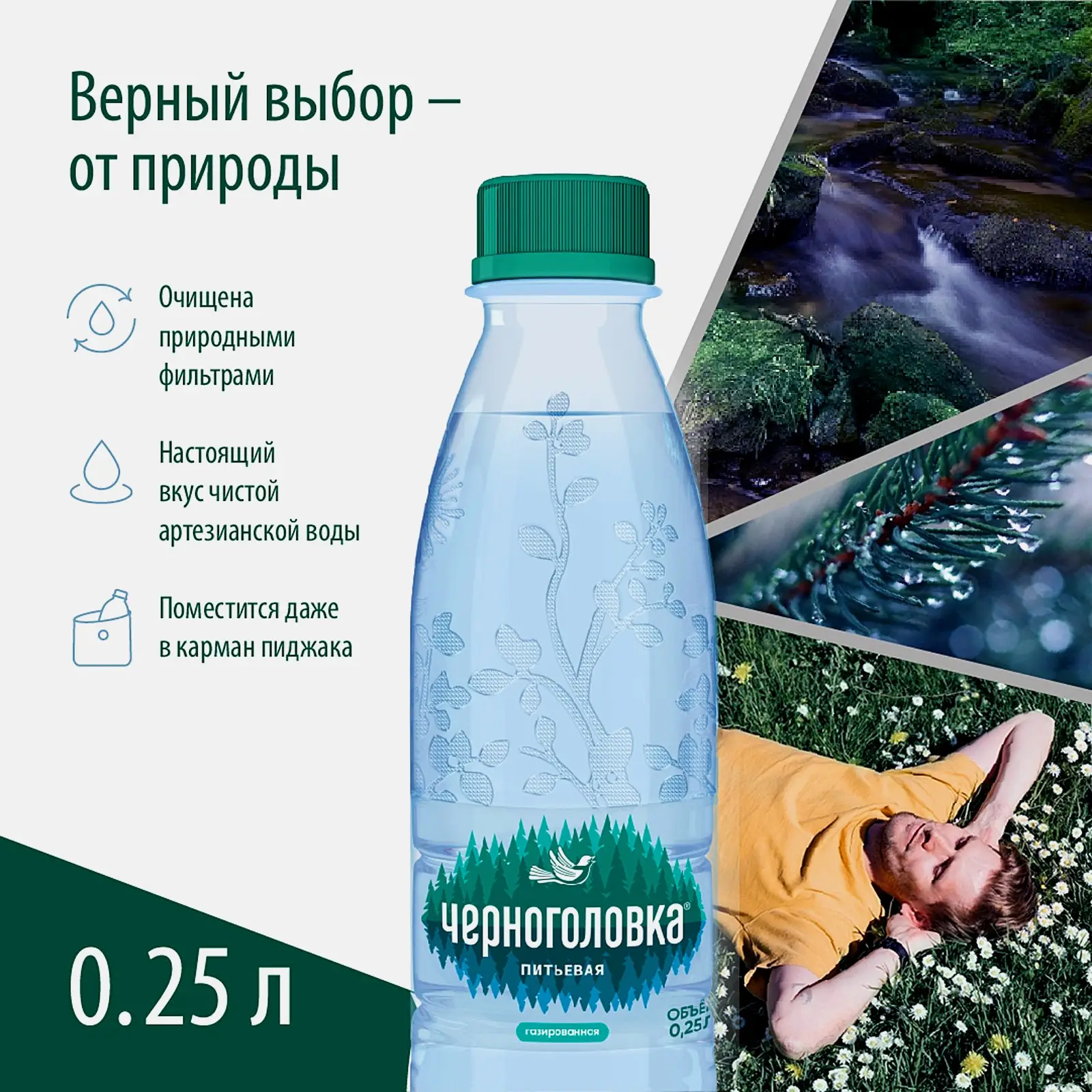 Вода Черноголовка питьевая газированная 250мл