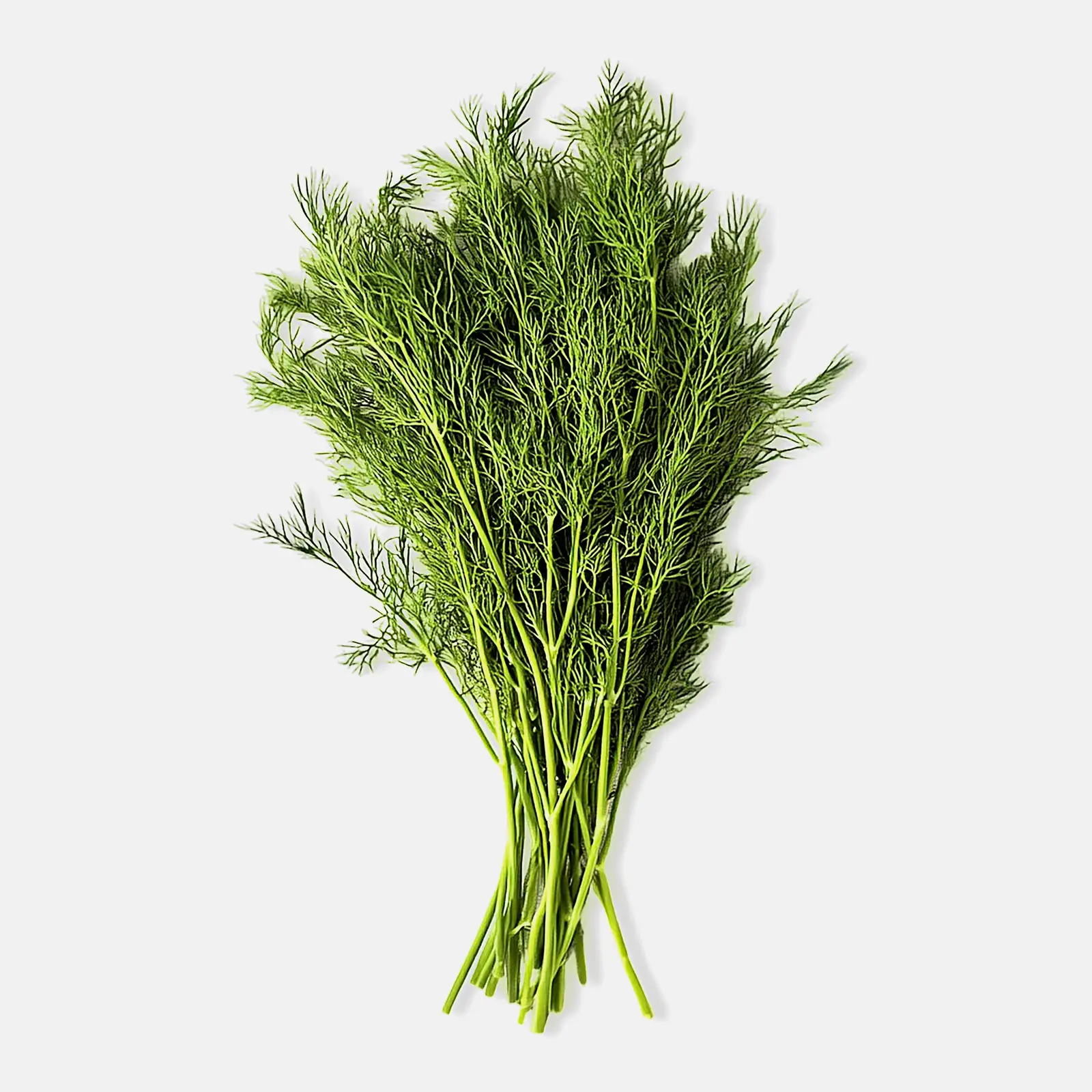 Изображение товара Свежий укроп 50г - натуральная зелень с насыщенным ароматом и вкусом