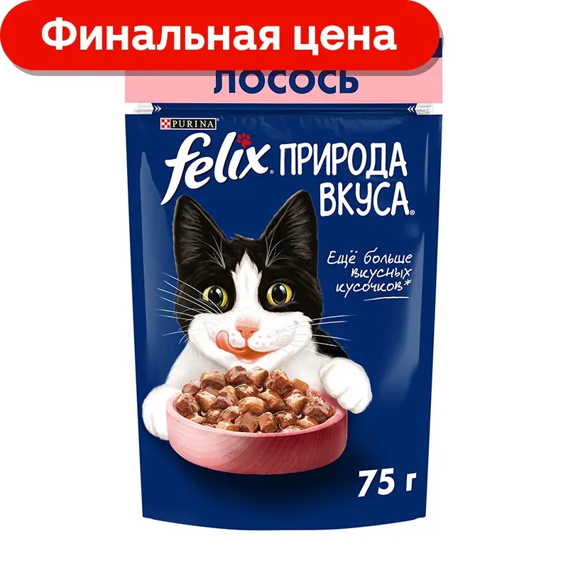 Влажный корм для кошек Felix Природа вкуса c лососем в соусе 75г