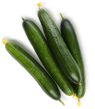 Изображение товара Огурцы среднеплодные