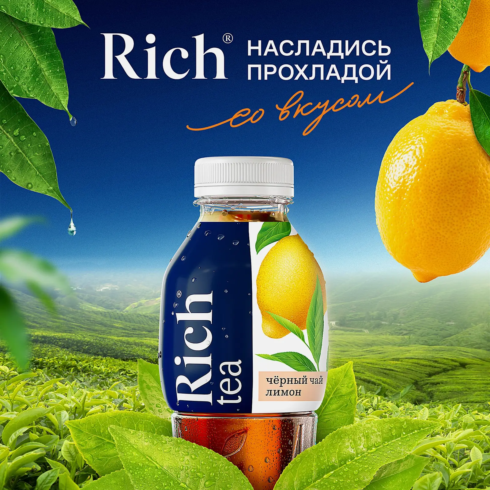 Черный чай с лимоном Rich Tea 1л - фото 3 Черный чай с лимоном Rich Tea 1л - фото 3