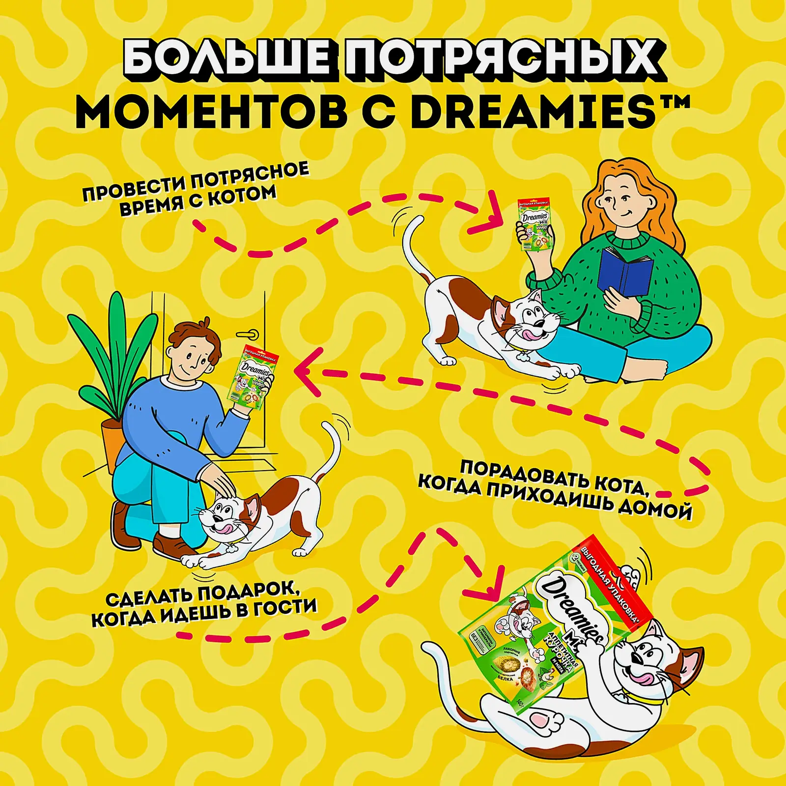 Лакомство для кошек Mix с кошачьей мятой и курицей Dreamies 140г - фото 3