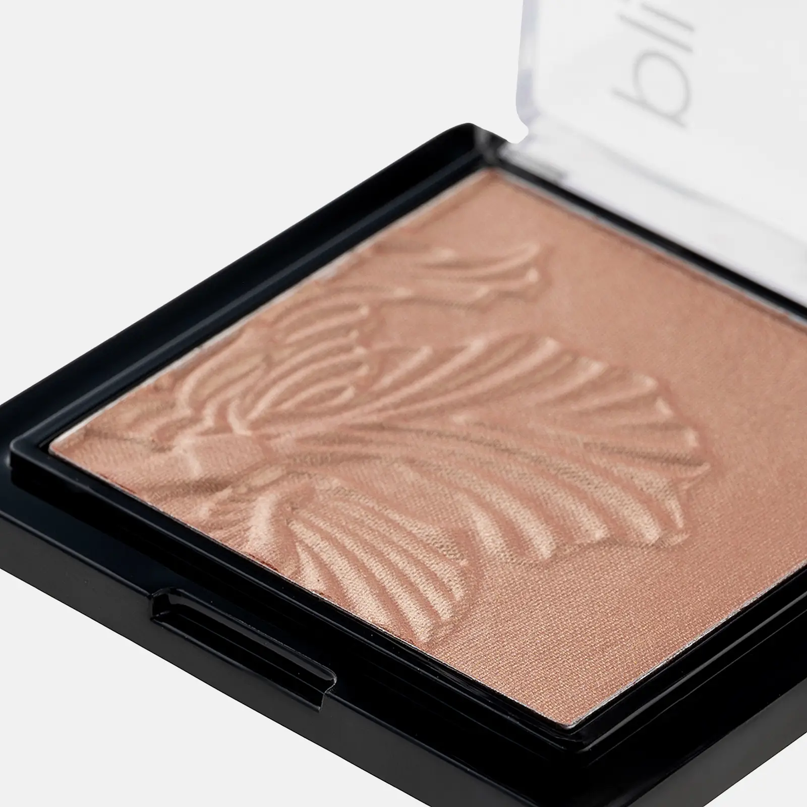 Пудра-хайлайтер Wet N Wild MegaGlo E321B 