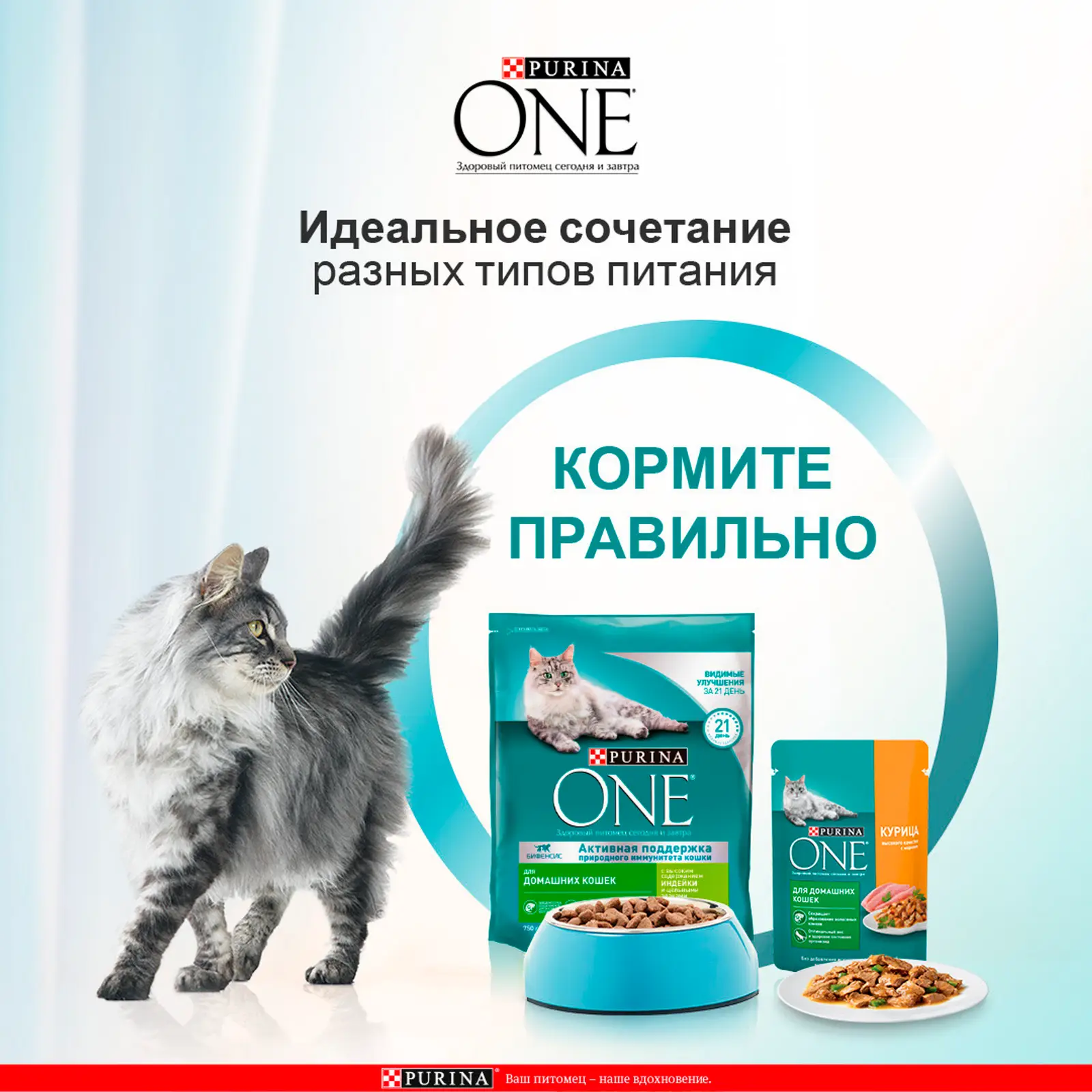 Сухой корм для кошек Purina One индейка злаки 9.75кг — в каталоге на сайте  сети Магнит | Краснодар