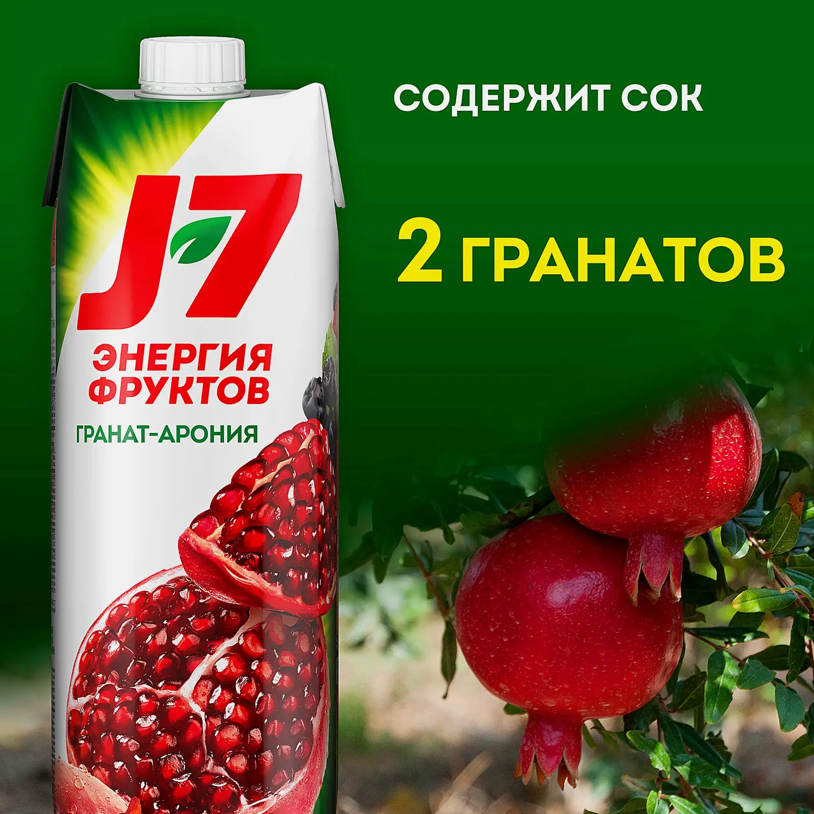 Нектар Гранат-черноплодная рябина J7 970мл - фото 2 Нектар Гранат-черноплодная рябина J7 970мл - фото 2