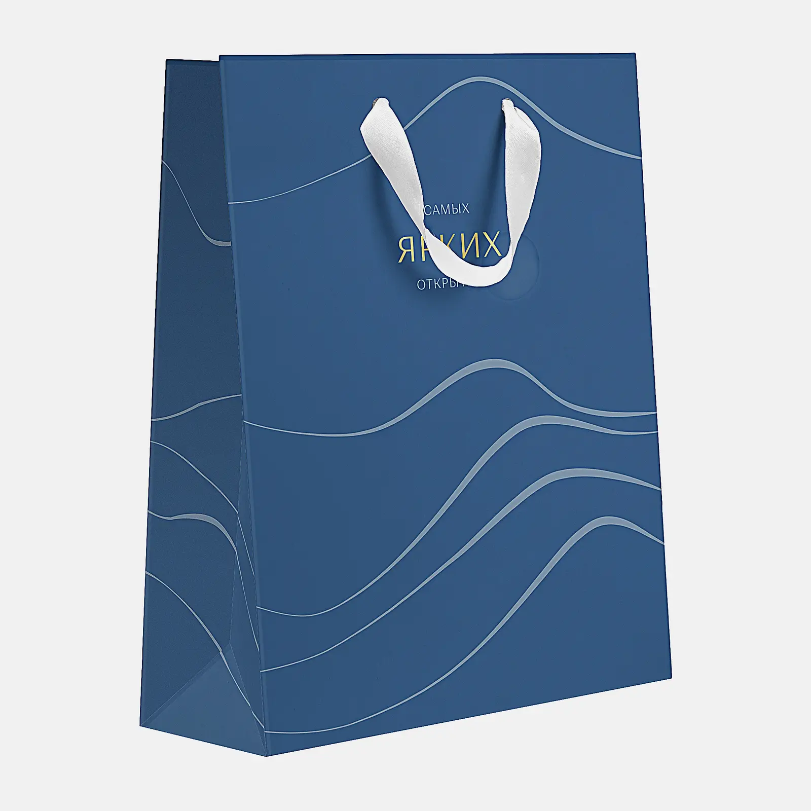 Пакет Пакетико Гравитация 22.7*18*10см M в ассортименте