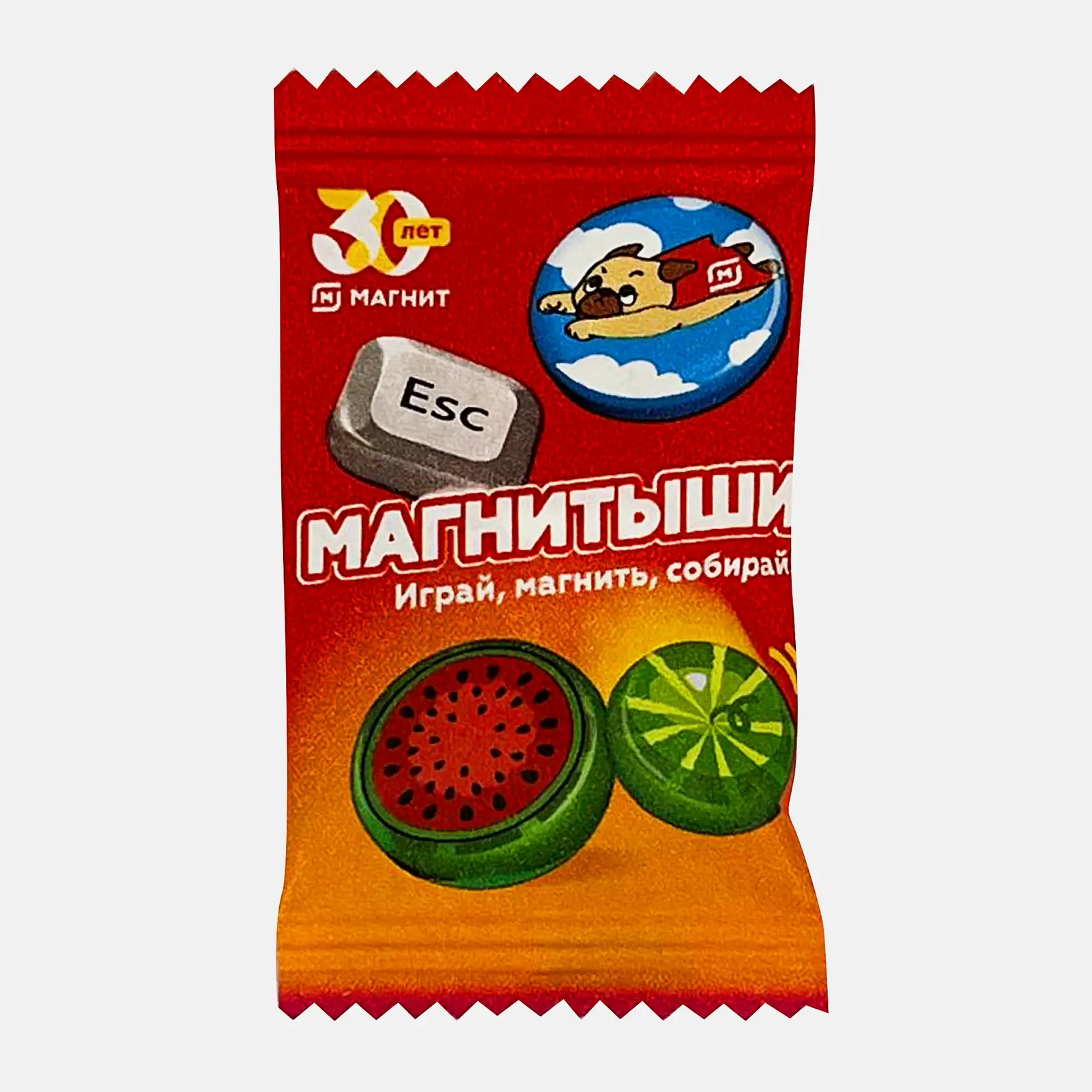 Игрушка Магнитыш