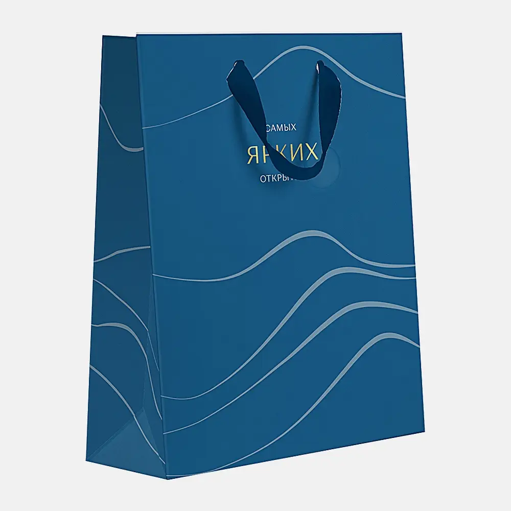 Пакет подарочный Пакетико матовая ламинация LV ПДЛ М 31.5*25.5 см в ассортименте