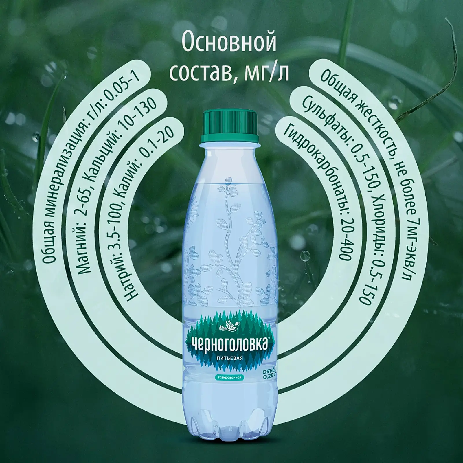 Вода Черноголовка питьевая газированная 250мл