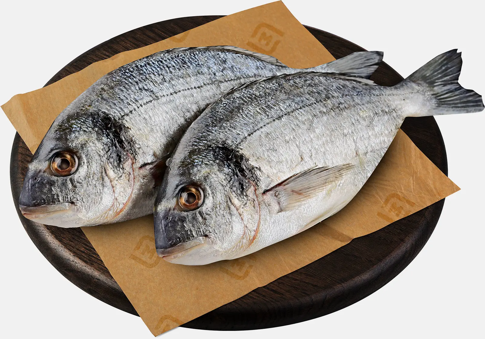 Дорадо Pescatore Francesco Дорадо Pescatore Francesco