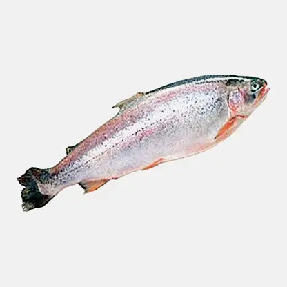Форель тушка потрошеная замороженная