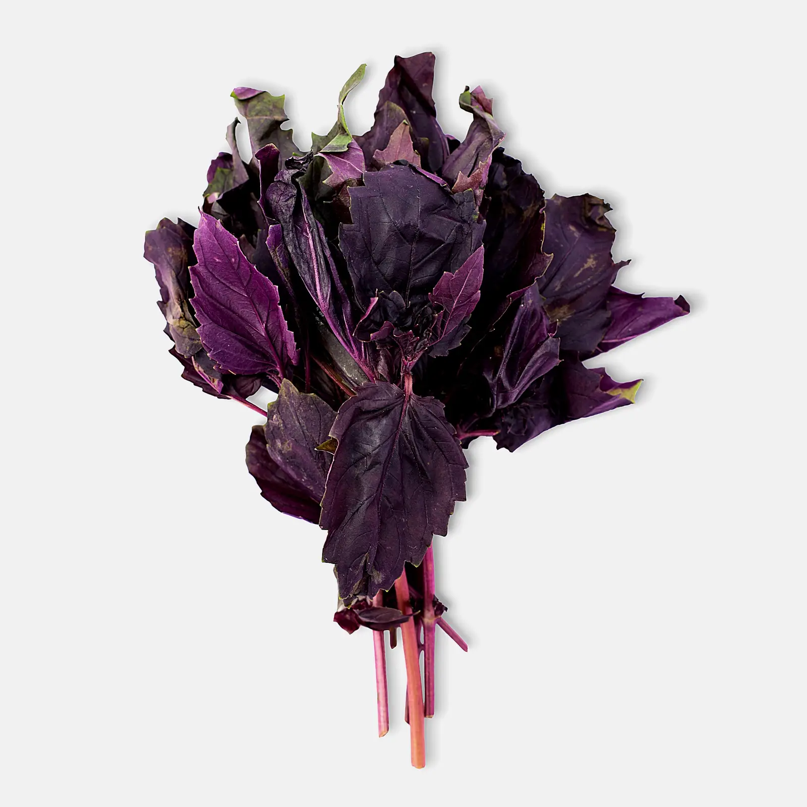 Изображение товара Свежий базилик 30г - душистая пряность для блюд и салатов