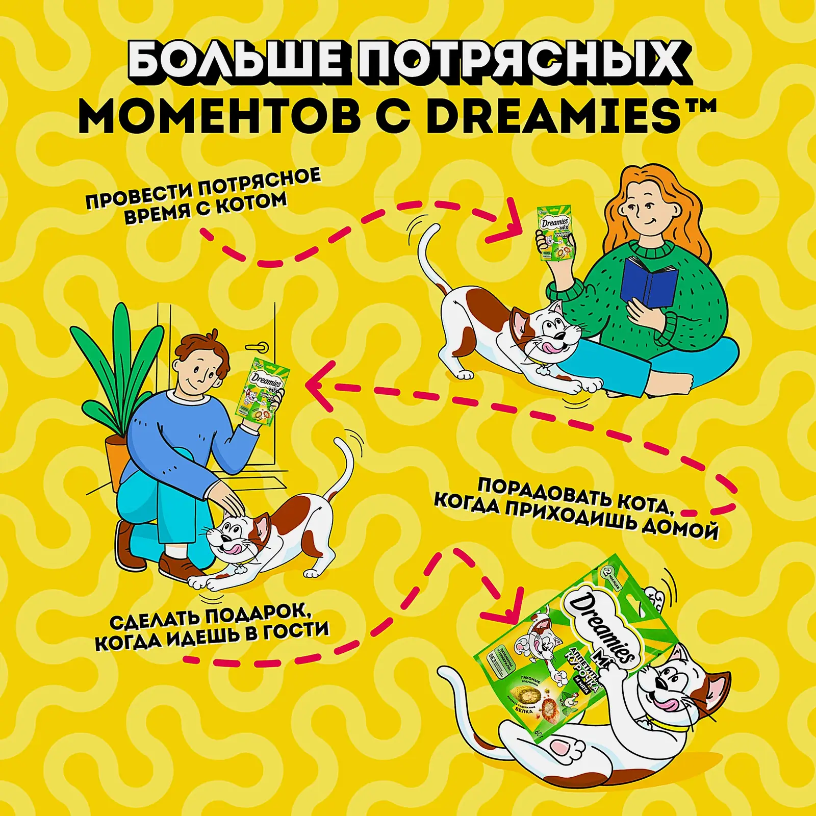 Лакомство для кошек кошачья мята и курица Dreamies 60г - фото 3