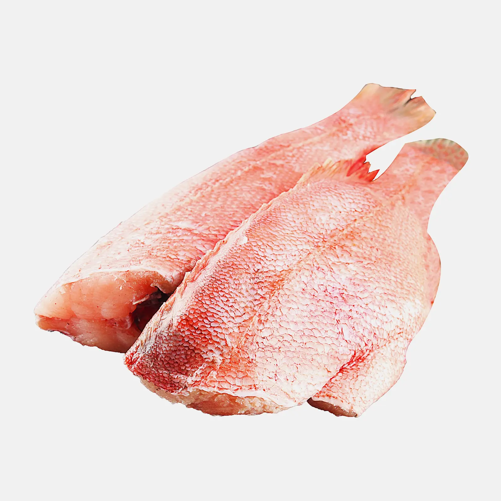 Окунь морской