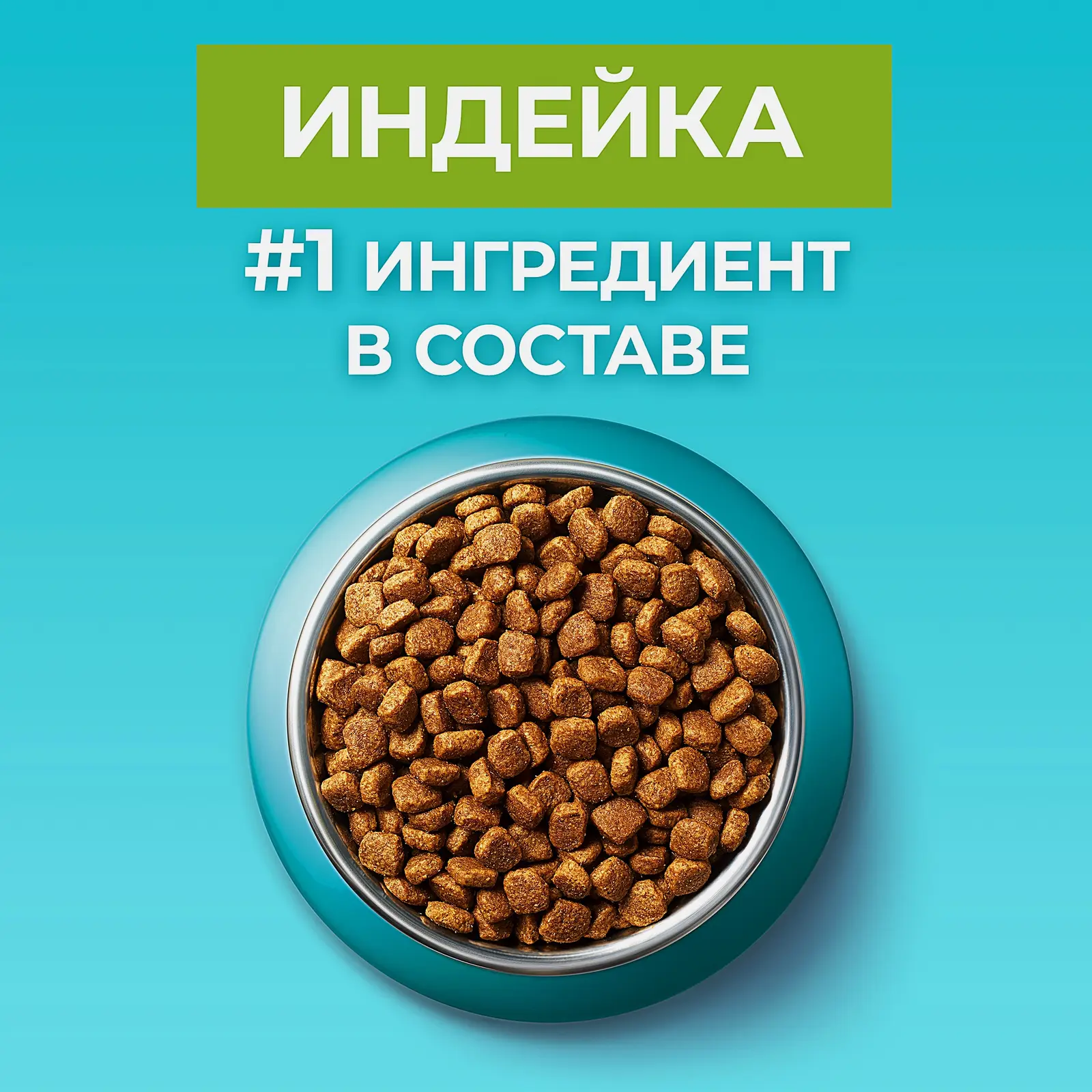 Сухой корм для кошек с чувствительным пищеварением с индейкой и рисом Purina ONE 750г - фото 4 Сухой корм для кошек с чувствительным пищеварением с индейкой и рисом Purina ONE 750г - фото 4