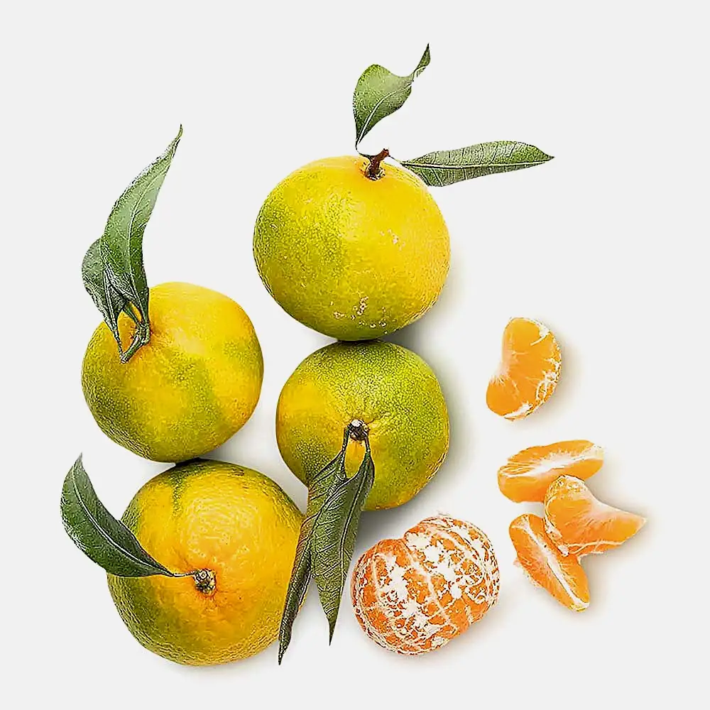 Изображение товара Мандарины с листочком весом 600г - сочный и витаминный фрукт