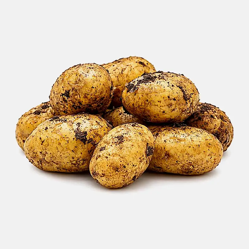 Изображение товара Картофель новый урожай среднего размера тонкая кожица вкус нежный