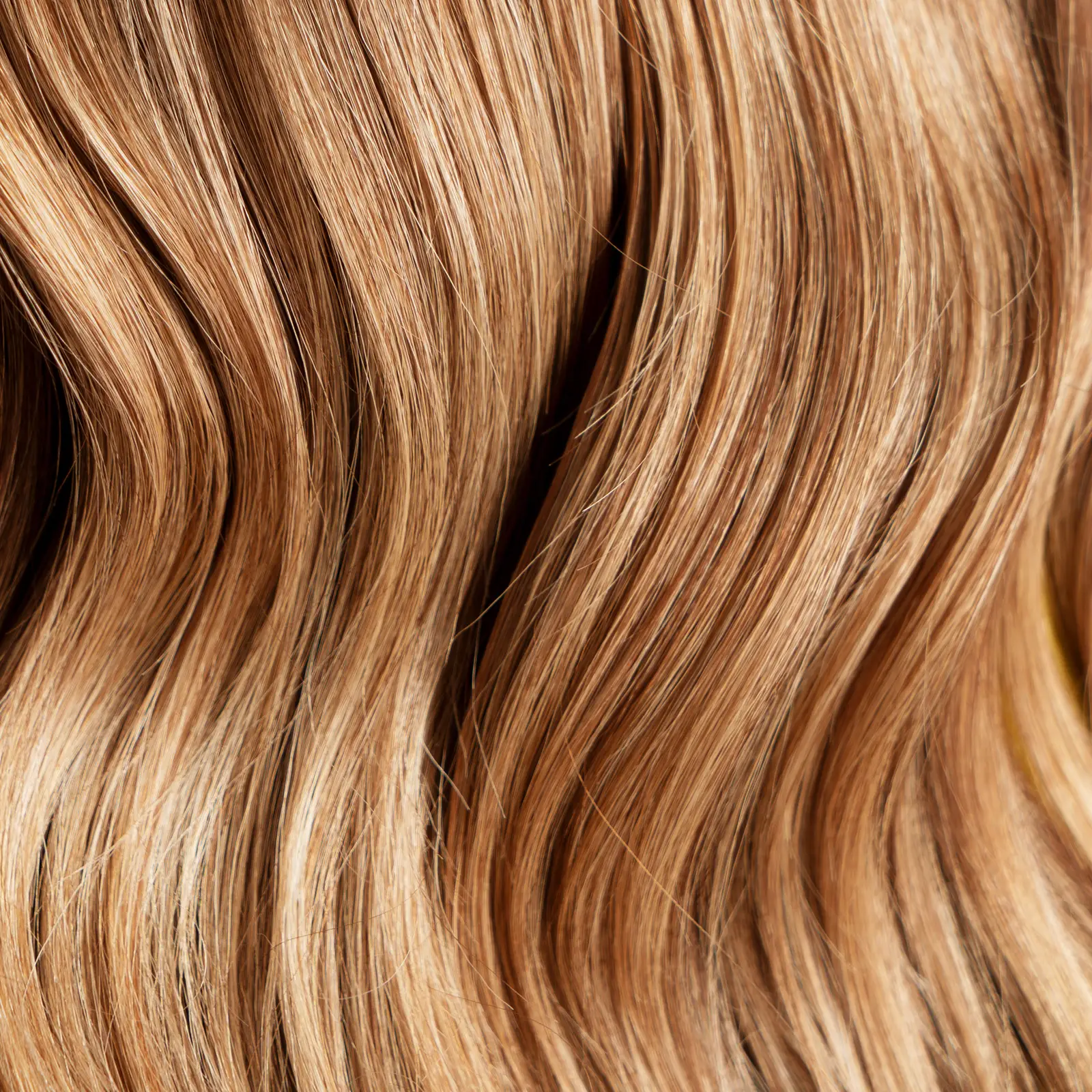 Стойкая крем-краска для волос L’Oréal Paris Excellence оттенок 8.1 Светло-русый пепельный