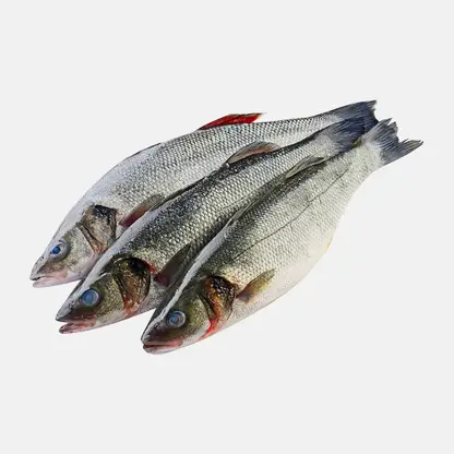 Сибас мороженый