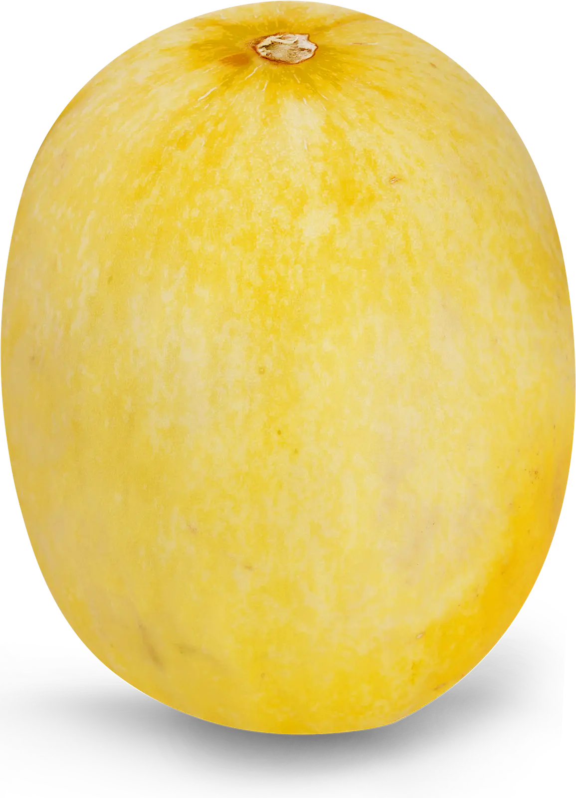 Дыня Канарская - фото 4