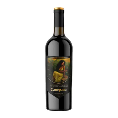 Вино Wine Guide Саперави красное сухое 12% 750мл