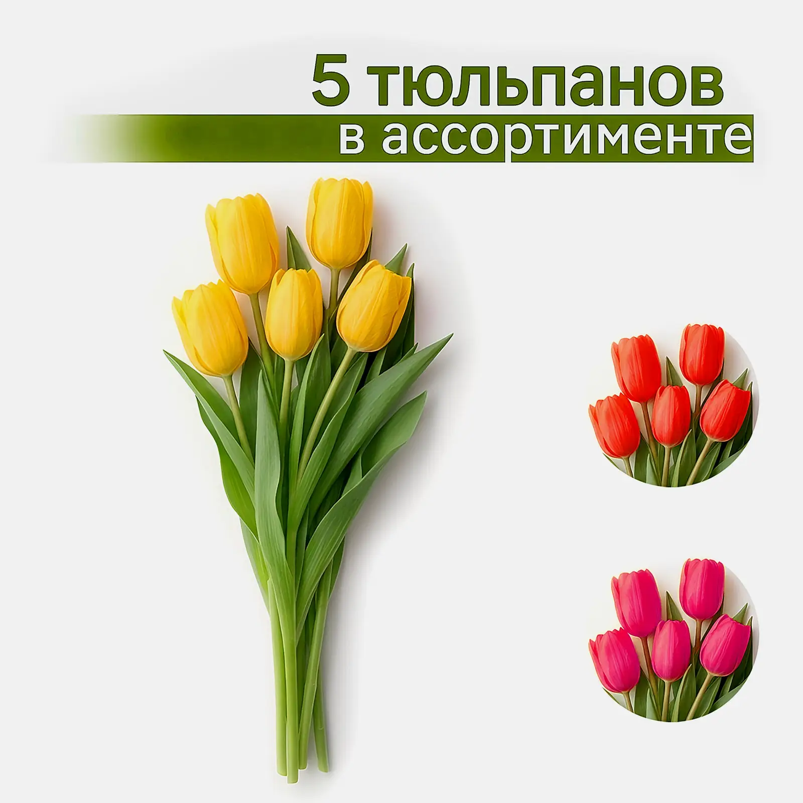 Букет тюльпанов 5шт в ассортименте