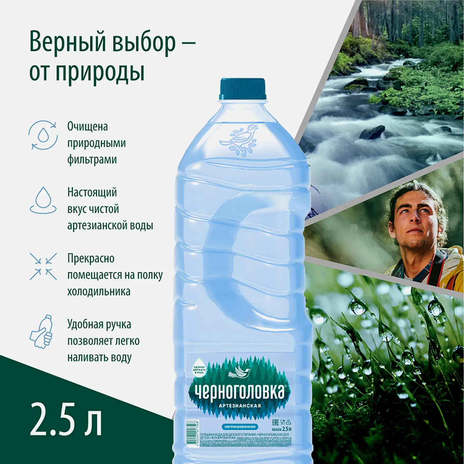Вода Черноголовка питьевая для детского питания негазированная 2.5л