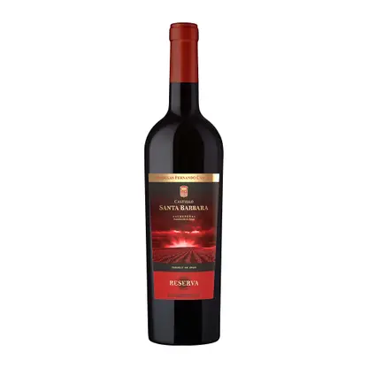 Вино Fernando Castro Castillo Santa Barbara красное сухое 13% 750мл
