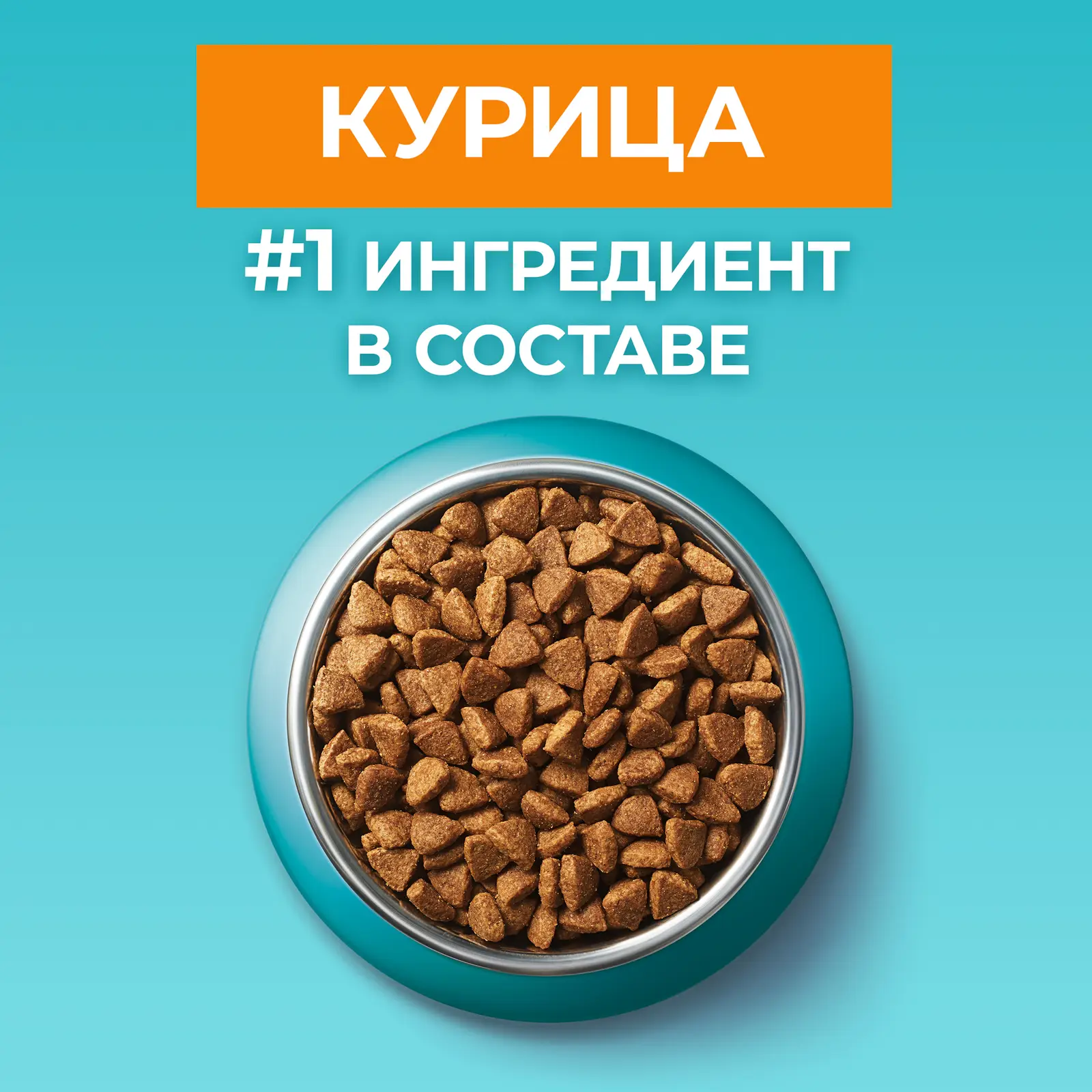 Сухой корм для кошек Purina One для здоровья кожи и шерсти с курицей и цельными злаками 750г