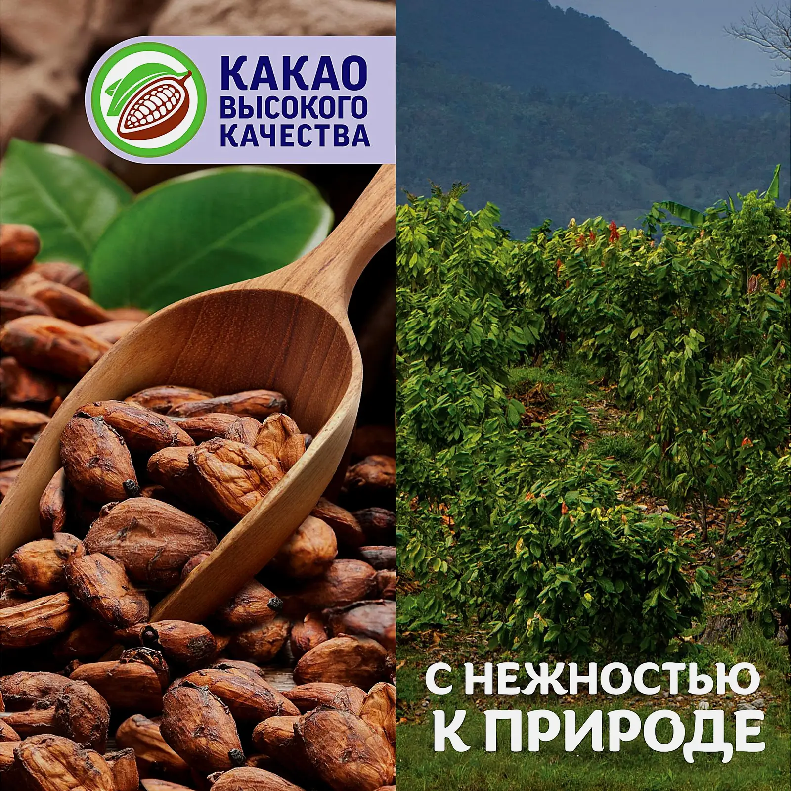 Молочный шоколад Milka 80г