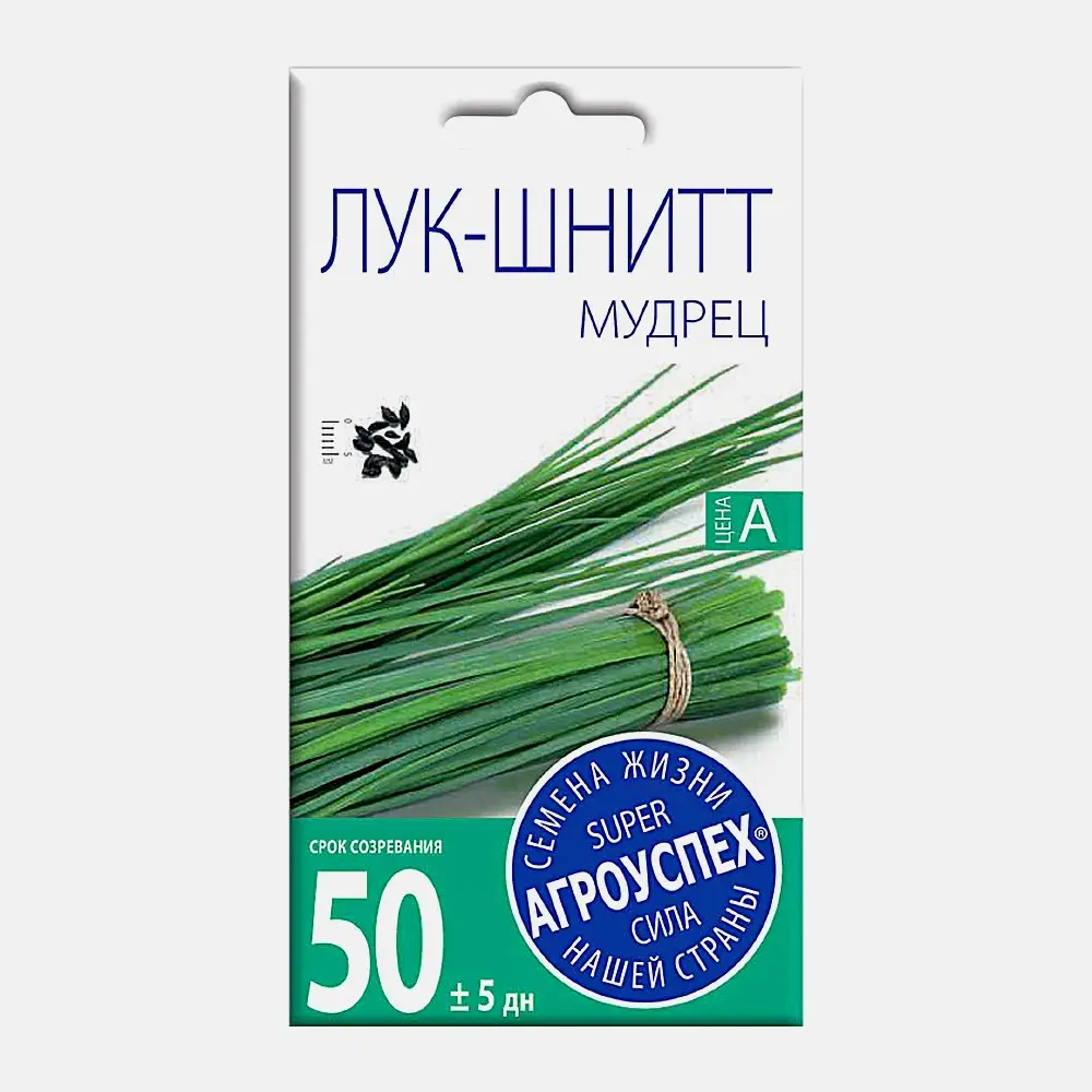 Лук-шнитт Мудрец Rosti