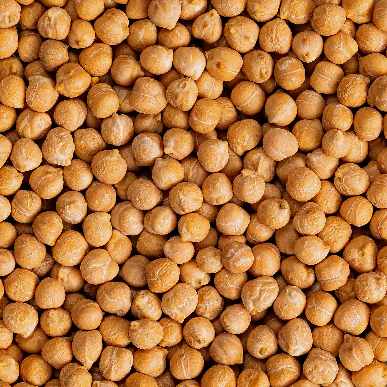 Нут Premiere of Taste 450г - фото 2 Нут Premiere of Taste 450г - фото 2