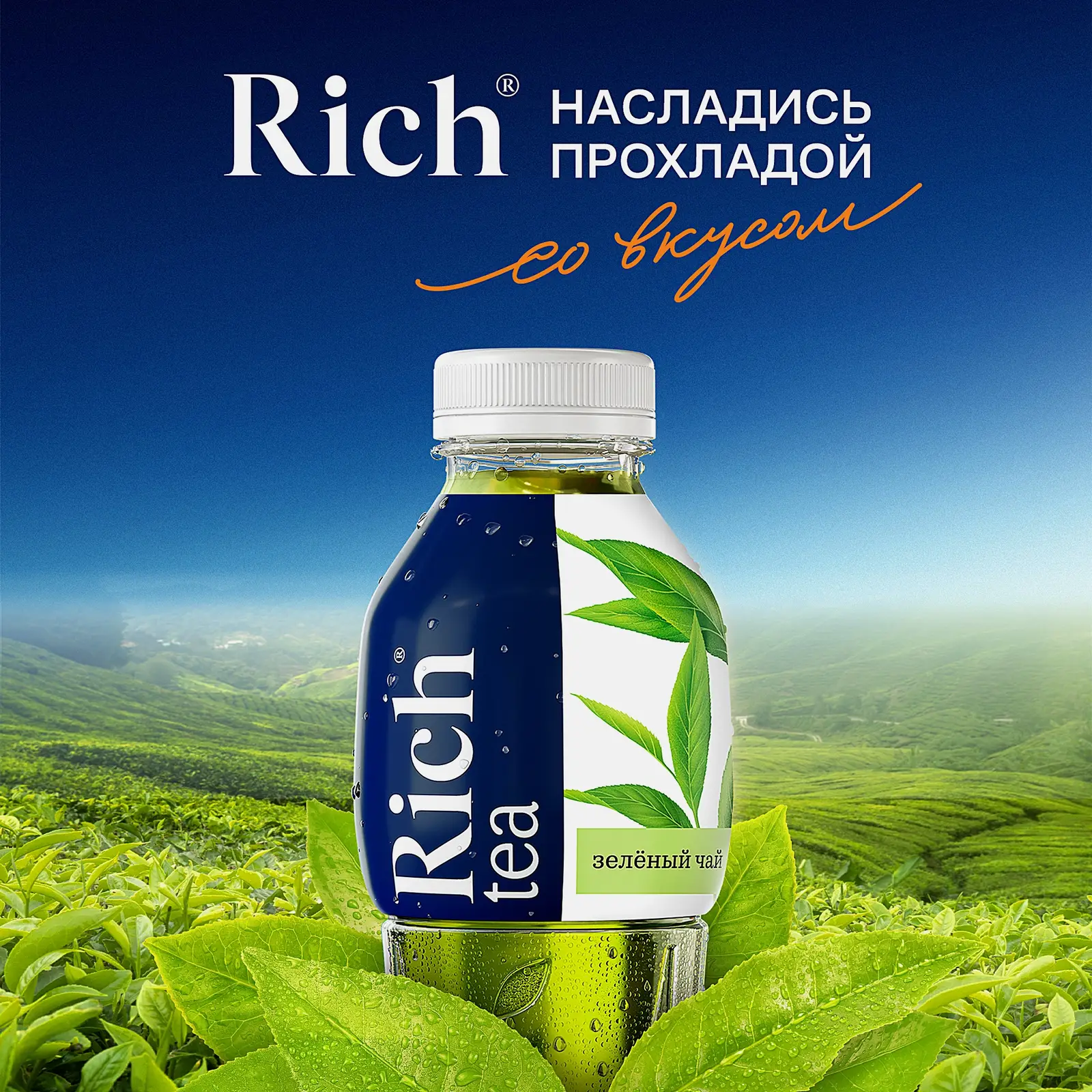 Напиток Rich Tea Чай зеленый холодный 500мл