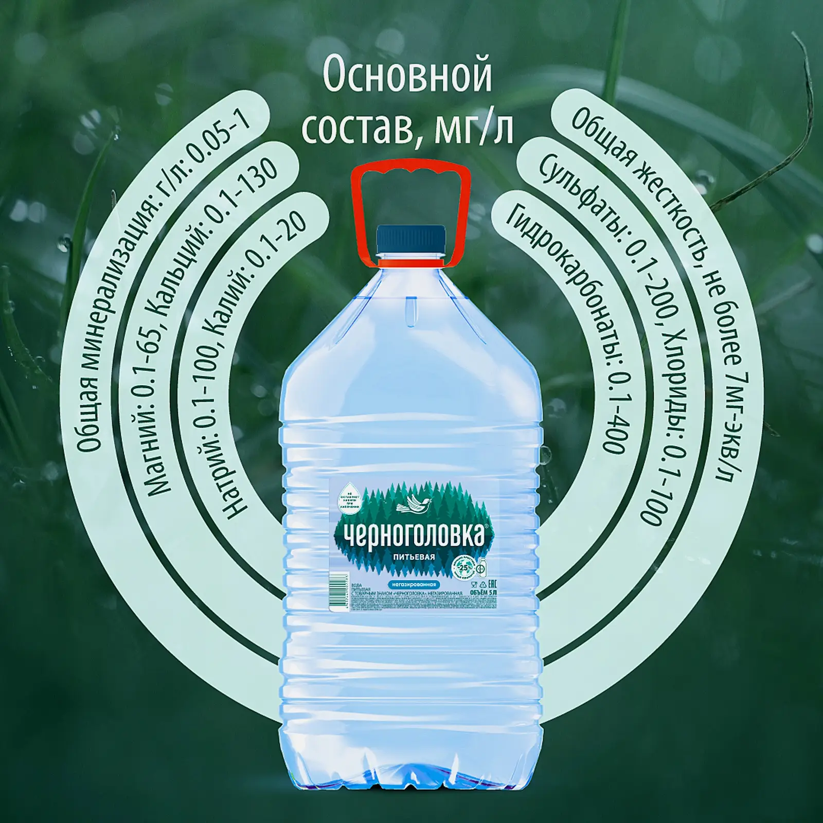 Вода Черноголовка питьевая негазированная 5л - фото 3