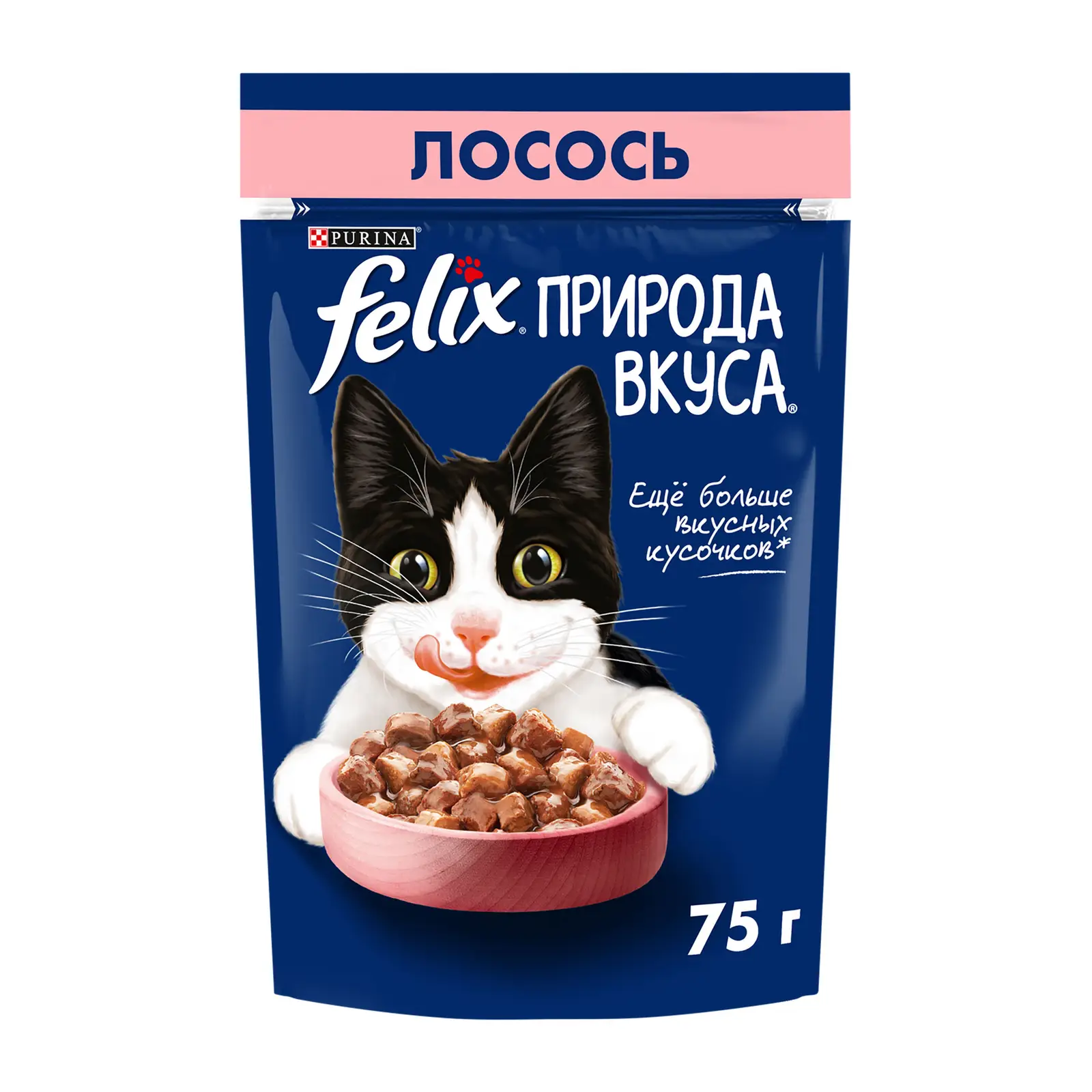 Влажный корм для кошек Felix Природа вкуса c лососем в соусе 75г — в  каталоге на сайте сети Магнит | Краснодар