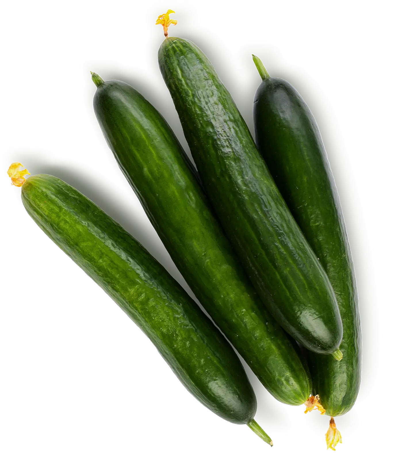 Изображение товара Длинноплодные свежие огурцы для салатов и консервирования 0.5 кг