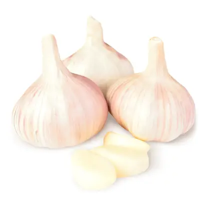Изображение товара Чеснок