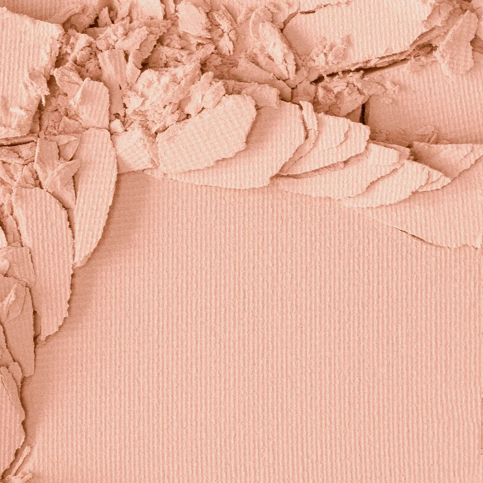 Компактная пудра для лица Luxvisage Silk Dream Nude Skin Compact Powder тон 4