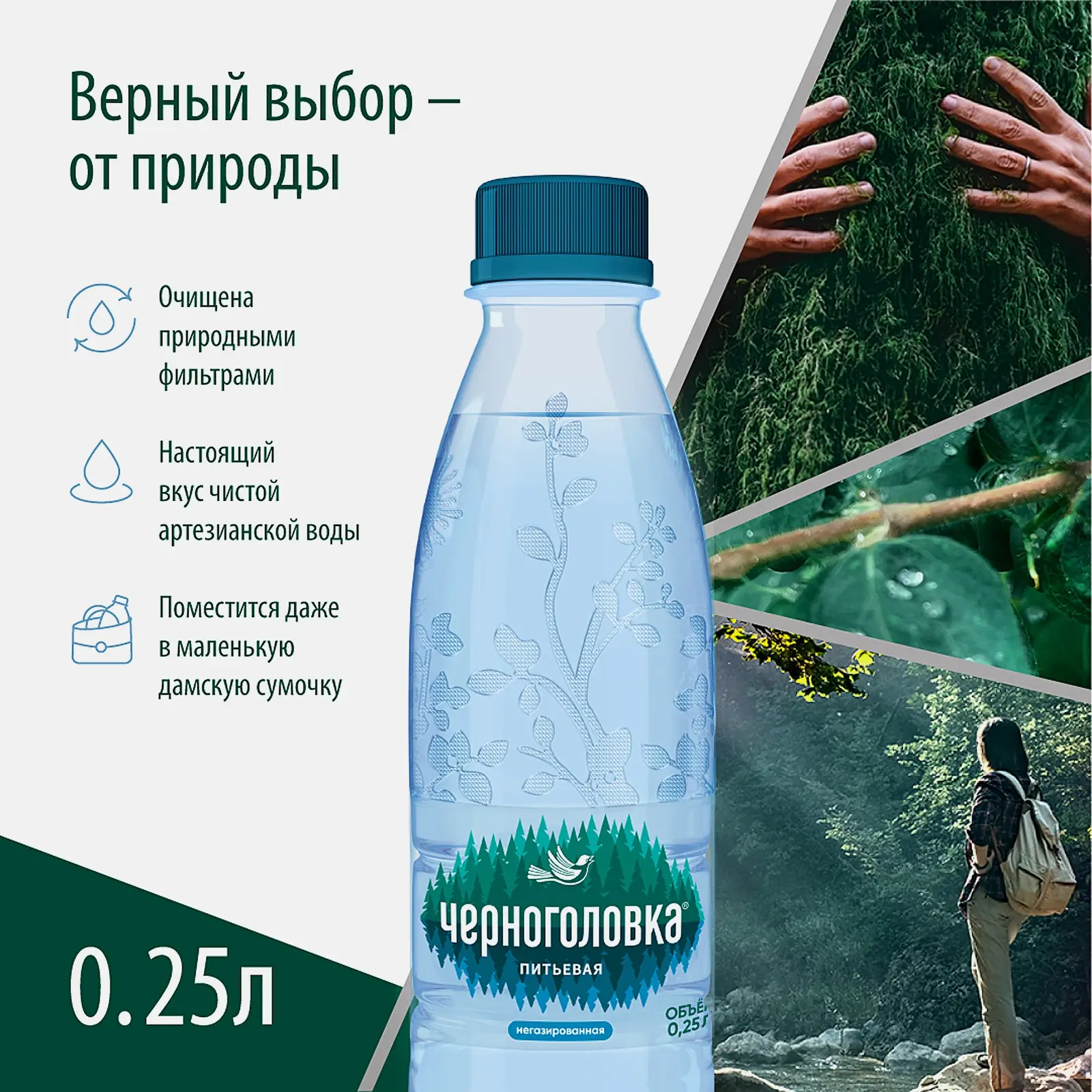 Вода Черноголовка питьевая негазированная 250мл