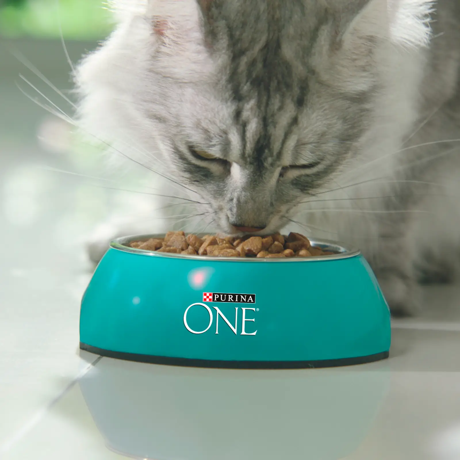 Сухой корм для кошек Purina One индейка злаки 9.75кг — в каталоге на сайте  сети Магнит | Краснодар