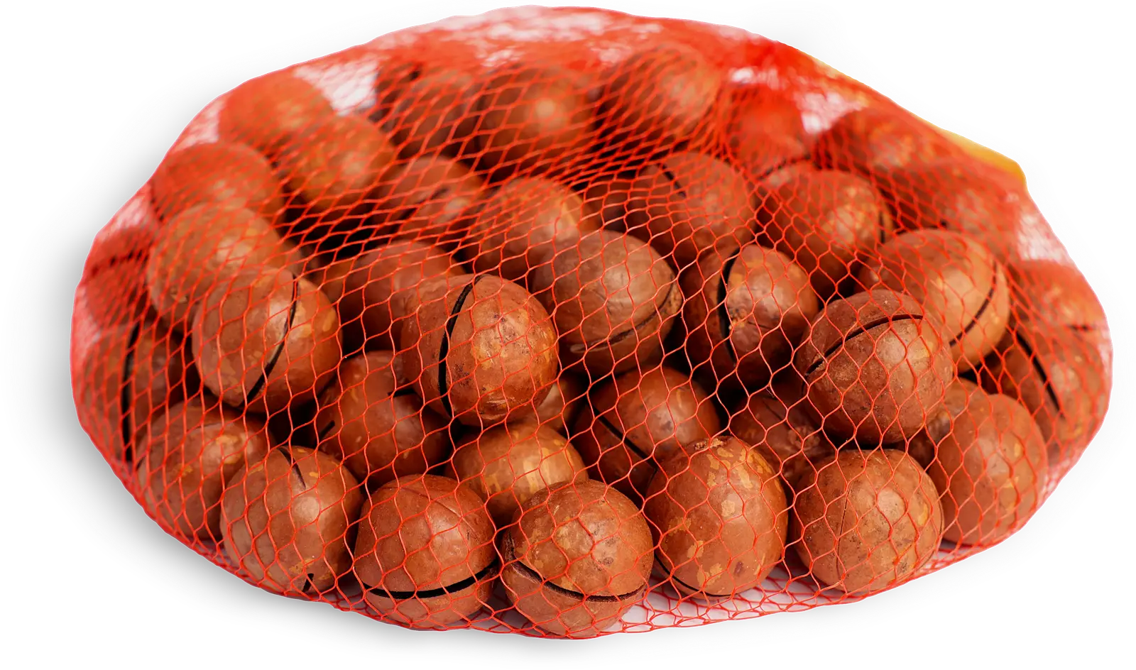 Орех Макадамия