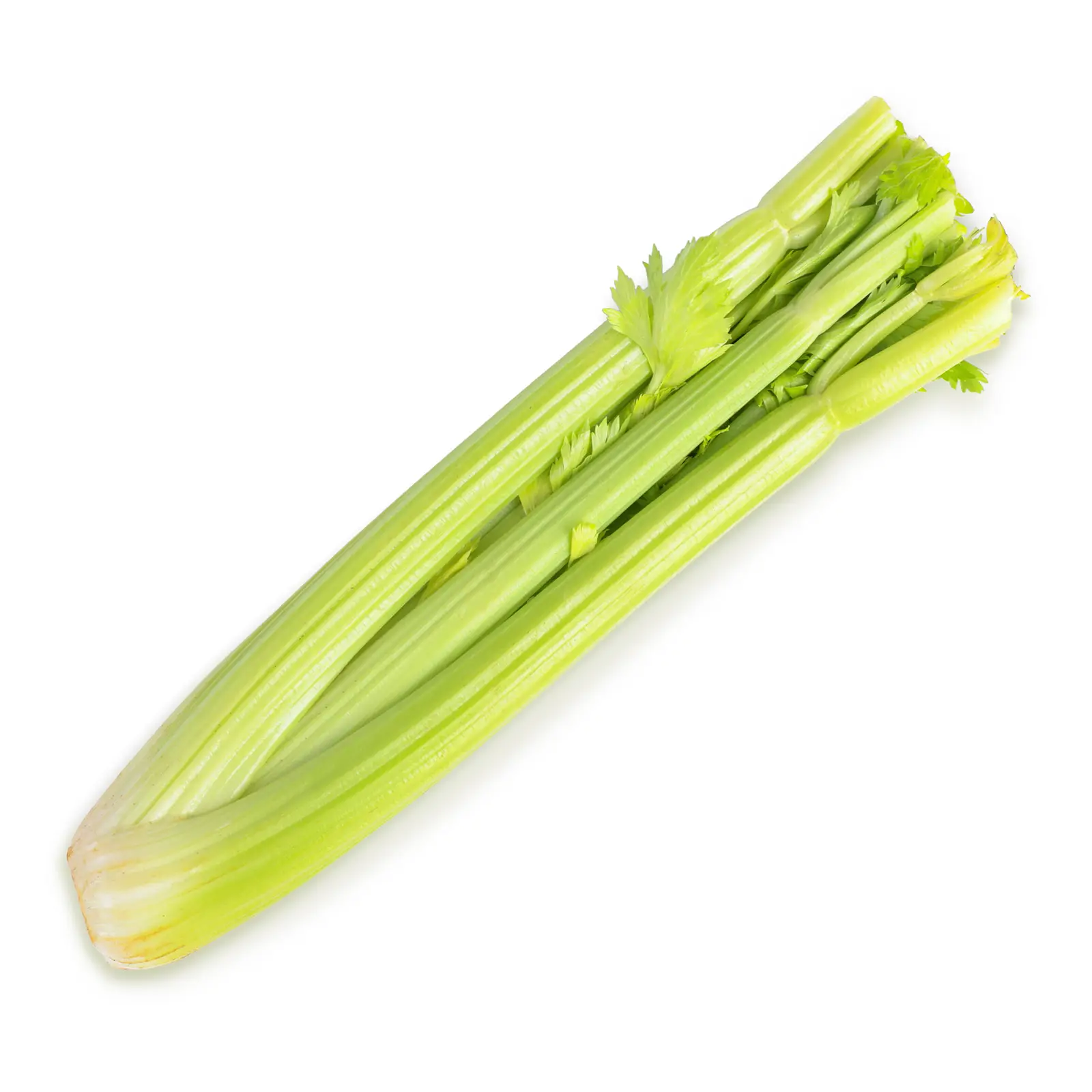Изображение товара Свежий стебель сельдерея 0.25 кг яркий аромат и сочные черешки