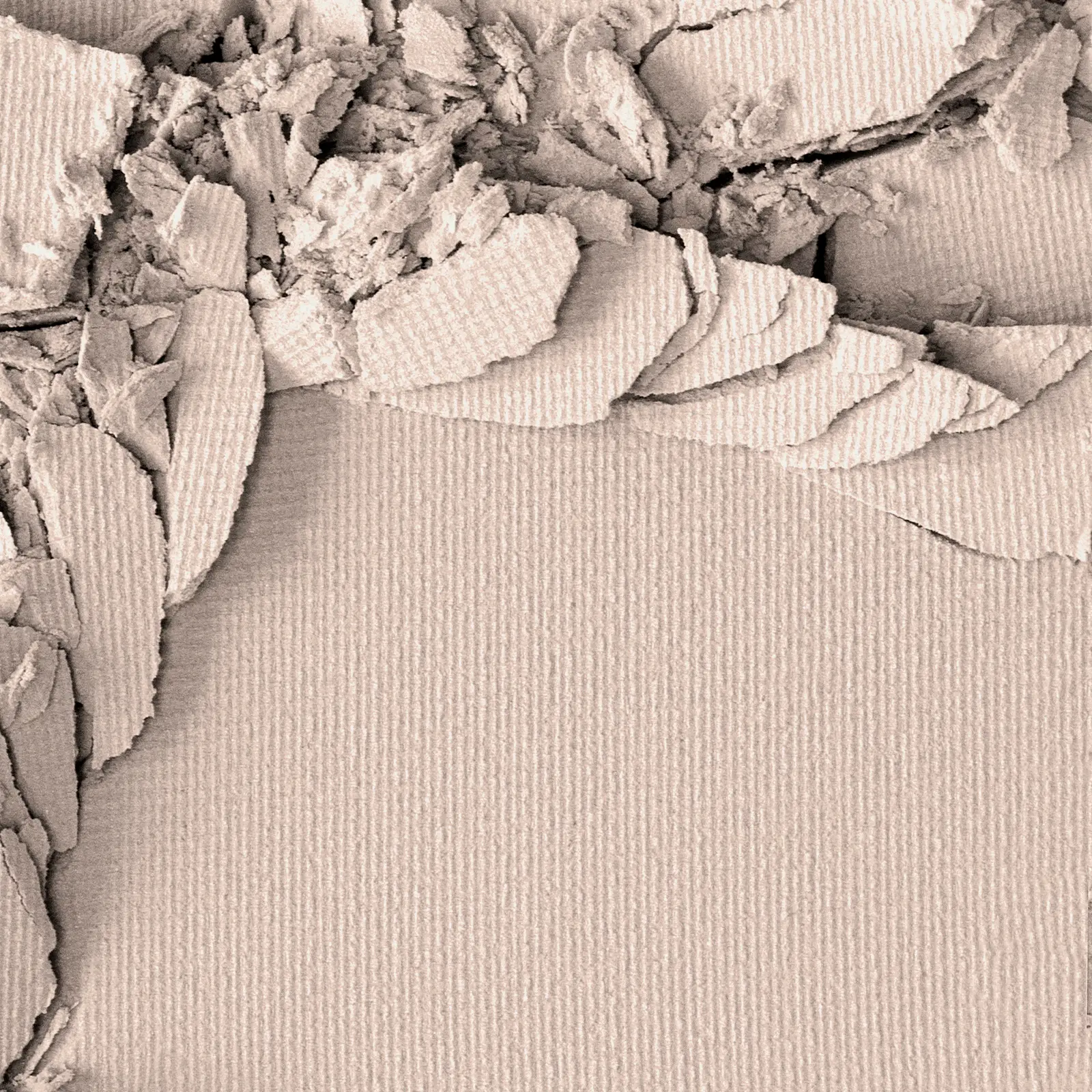 Пудра-фиксатор Luxvisage Expert Matt Бесцветный