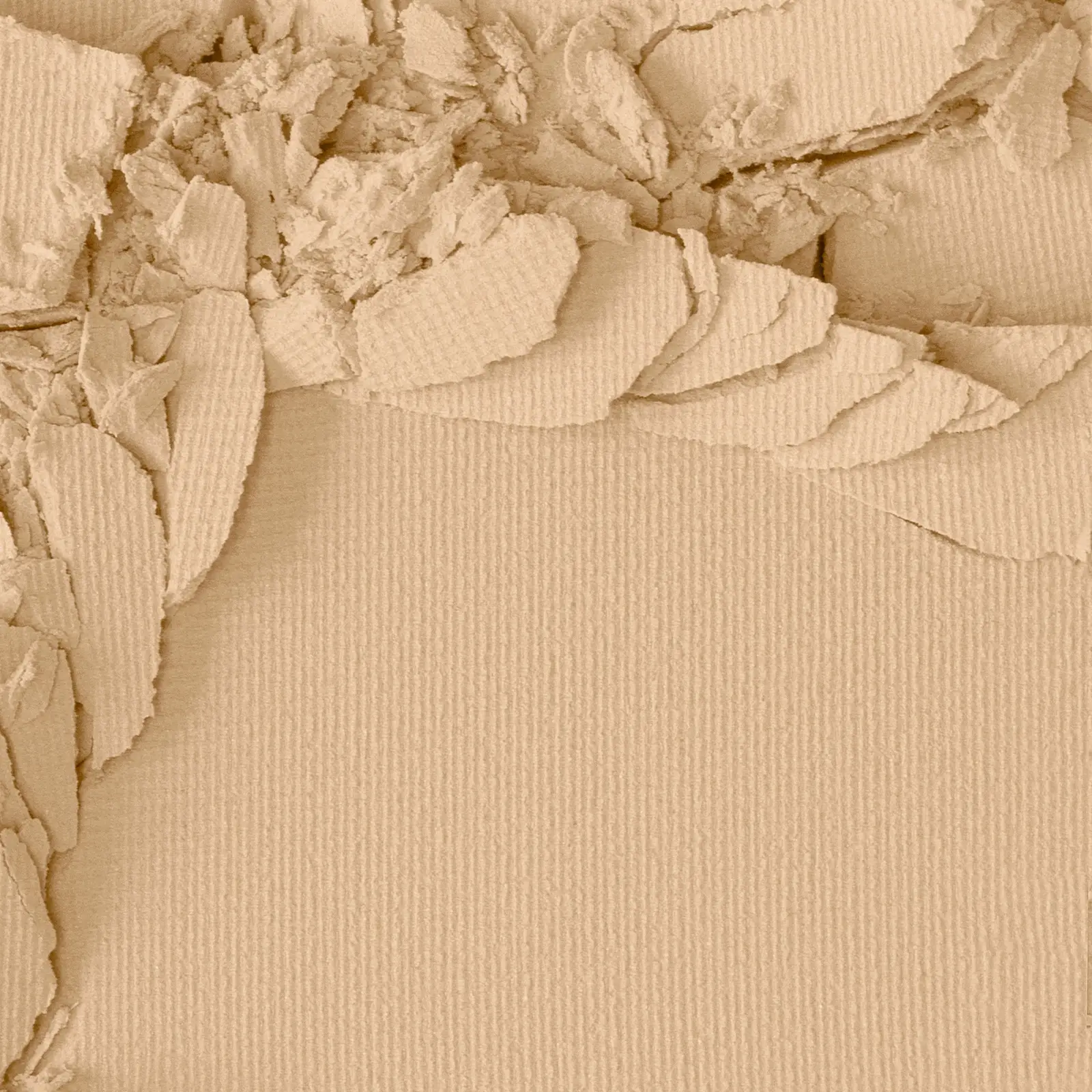 Пудра для лица Vivienne Sabo Teinte Absol Matte матирующая компактная тон 01 