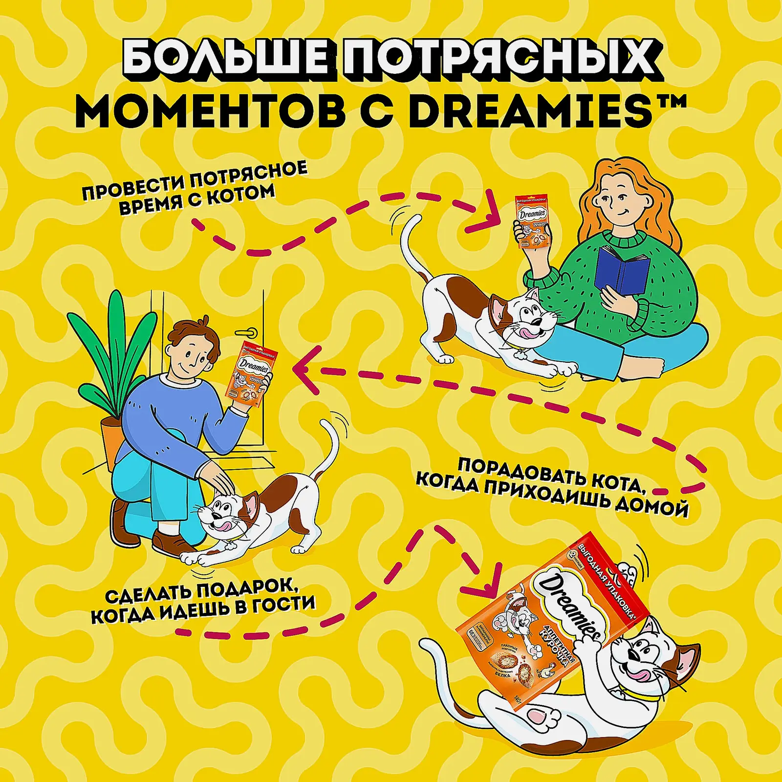 Лакомство для кошек подушечки с курицей Dreamies 140г