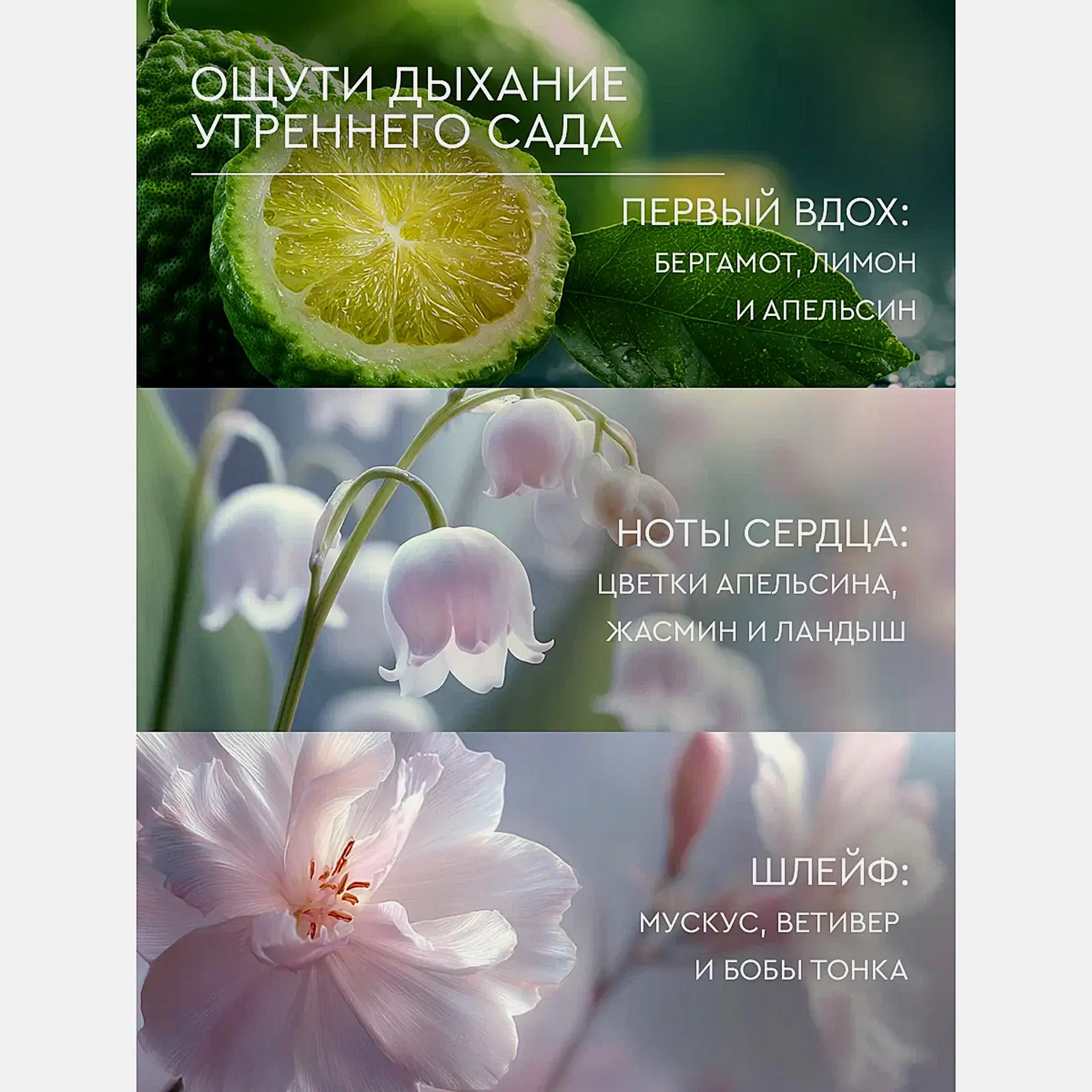 Крем-баттер для тела апельсин жасмин ваниль Feel Moment 380мл