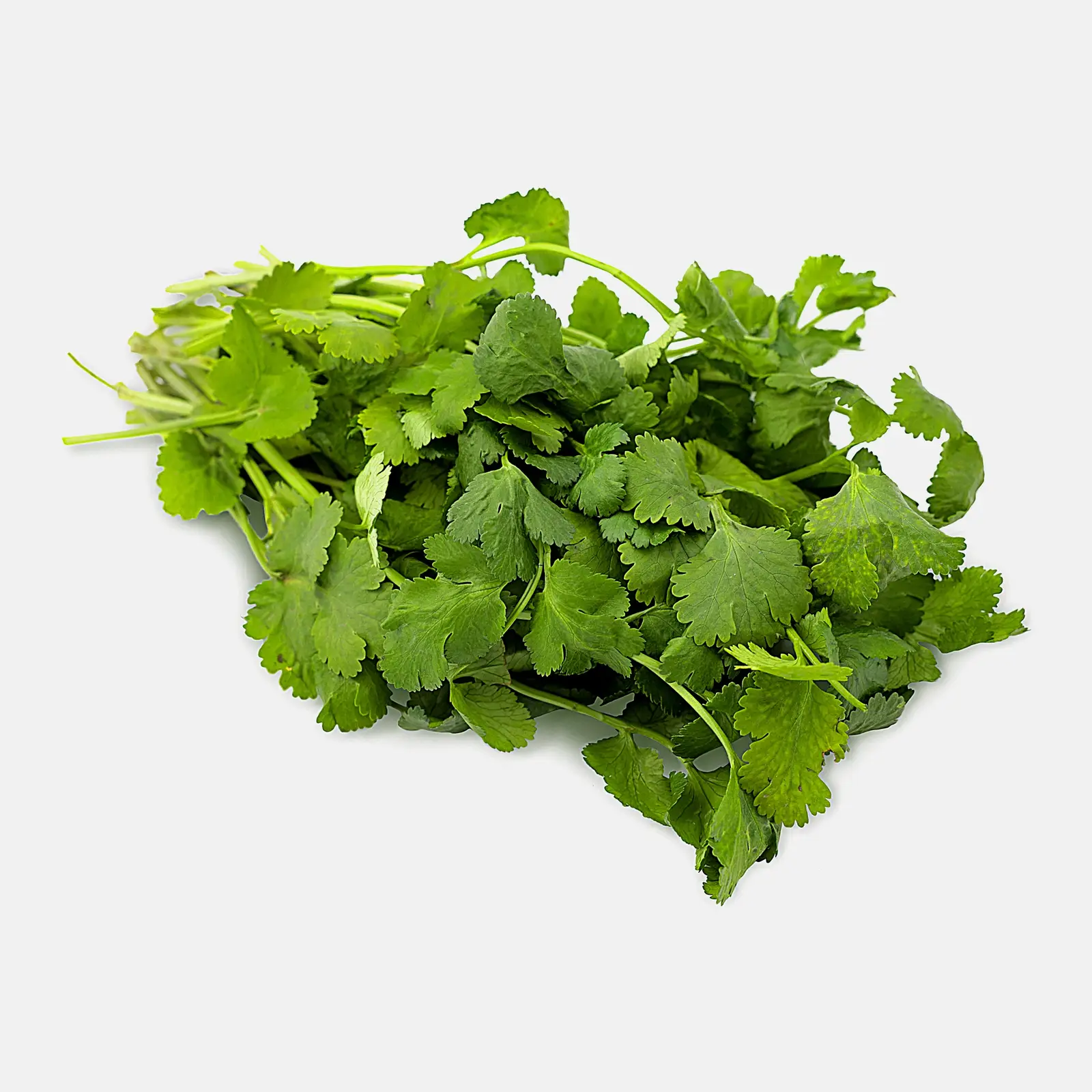 Изображение товара Кинза 50г - ароматная свежая специя для кухни