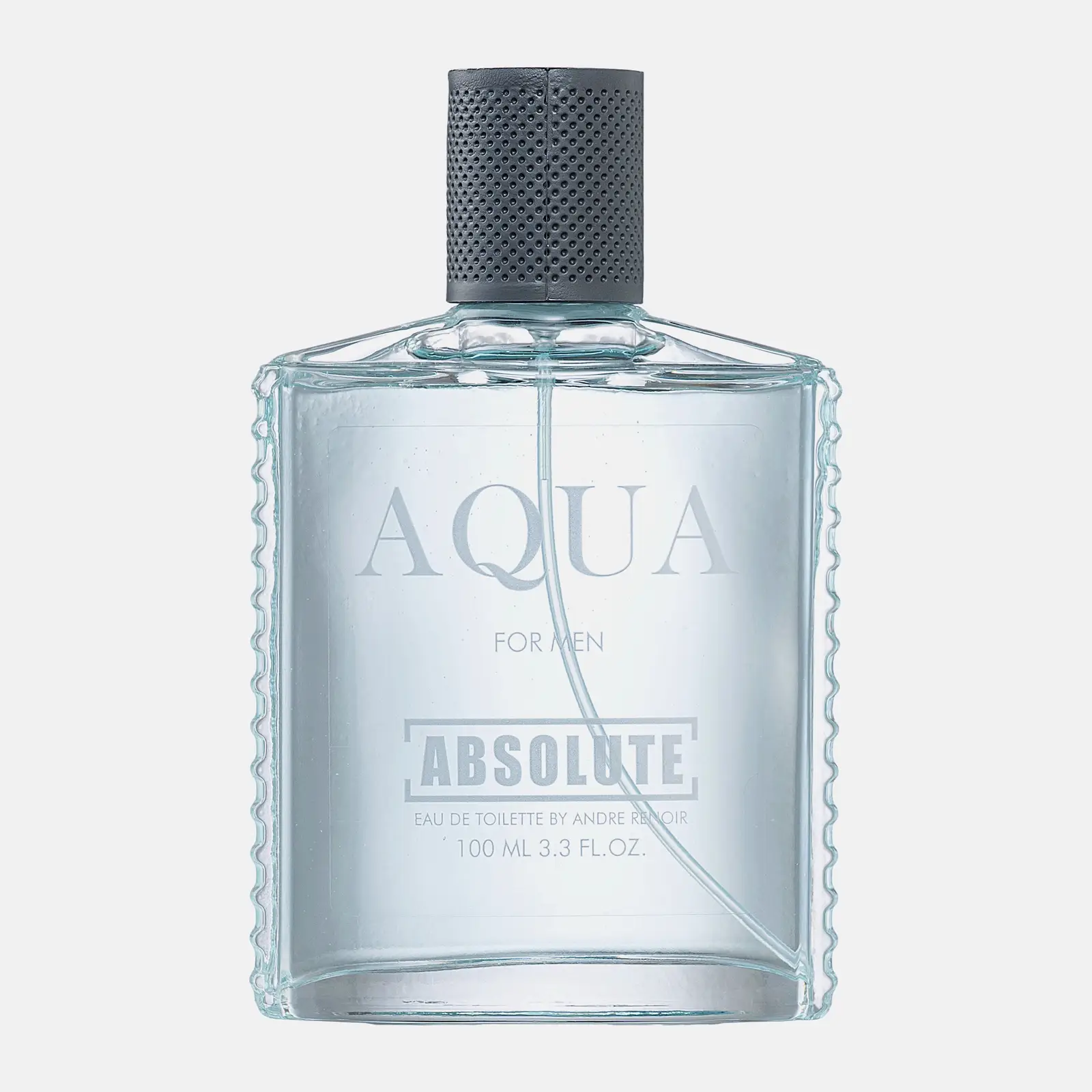 Туалетная вода Aqua Absolute мужская 100мл