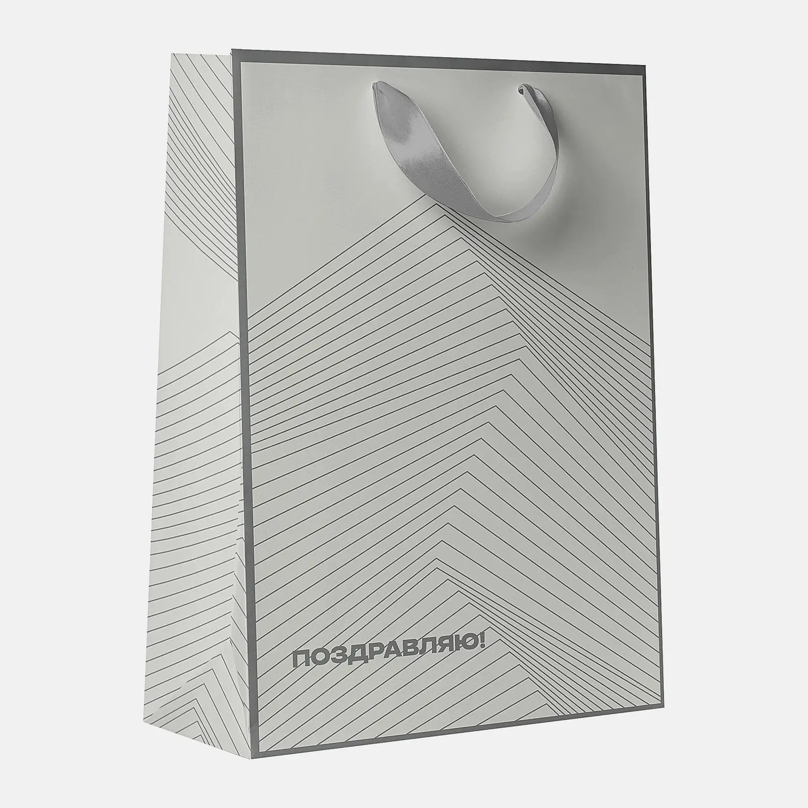 Подарочный пакет 22.7*18*10см M Strict Lines в ассортименте